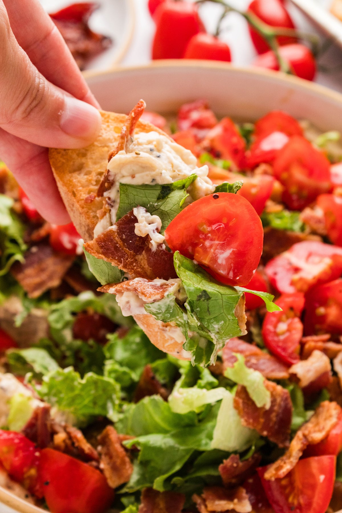 BLT Dip