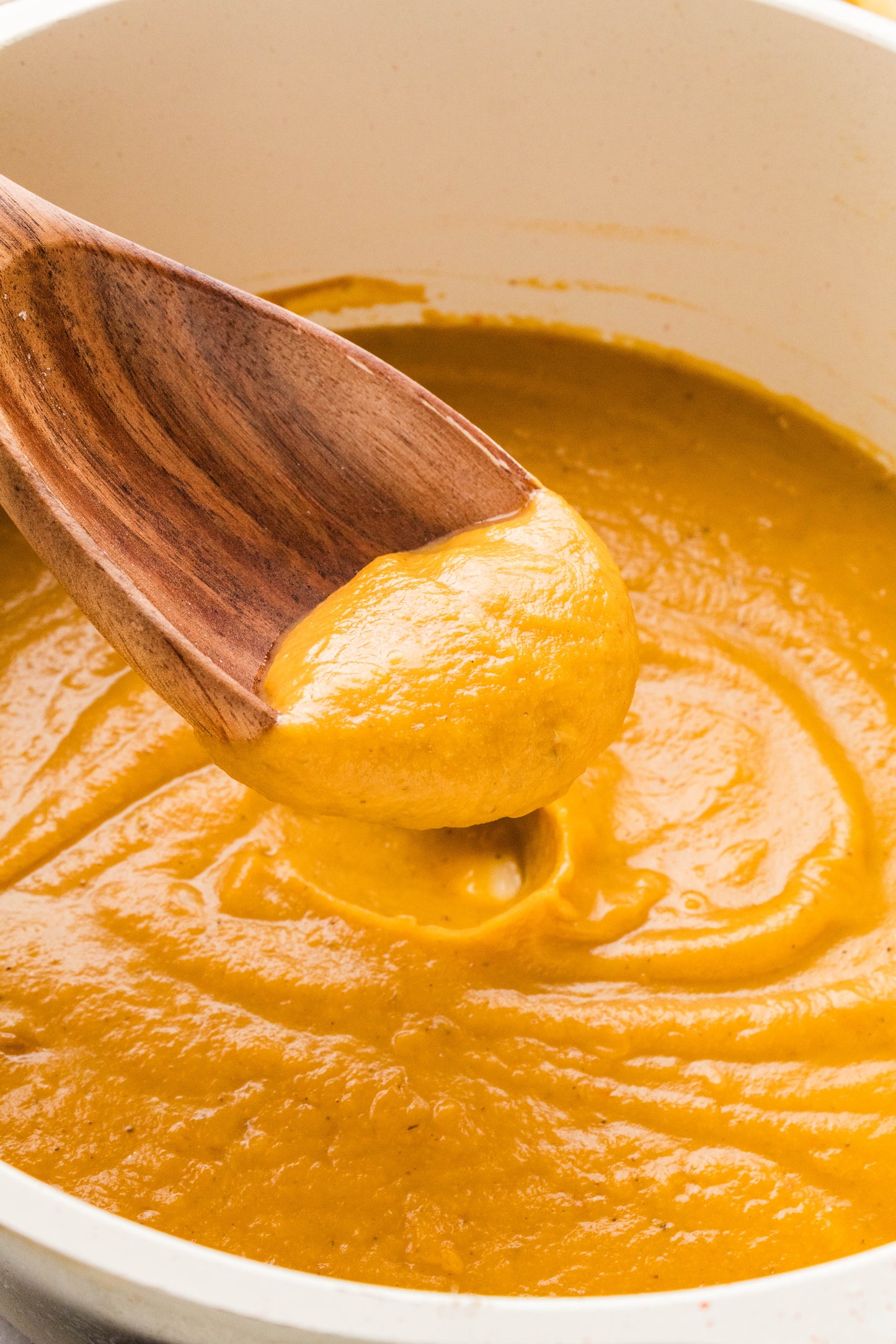 Butternut Squash Pasta Sauce